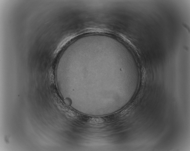 X0000101951215200808081458