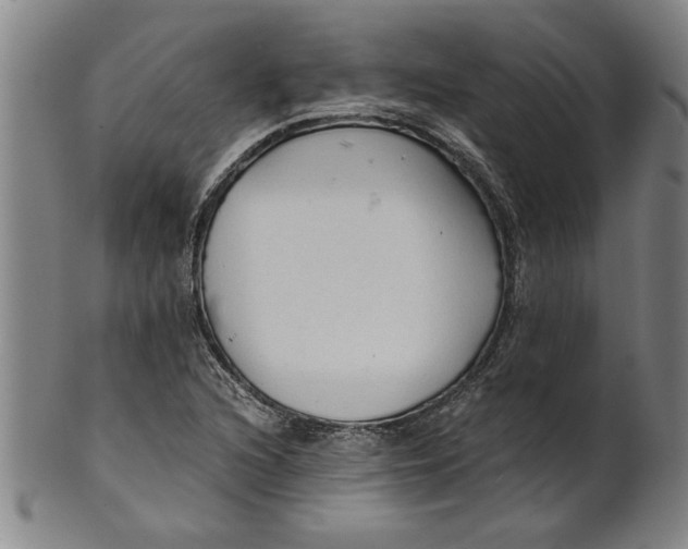 X0000101951216200808081458