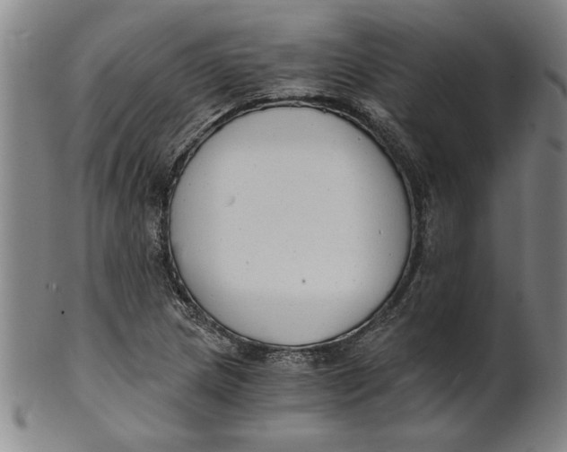 X0000101951217200808081458