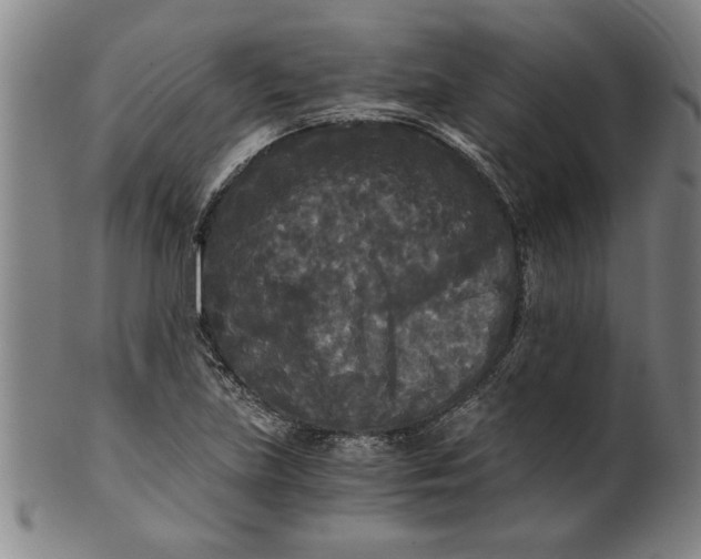 X0000101951219200808081458