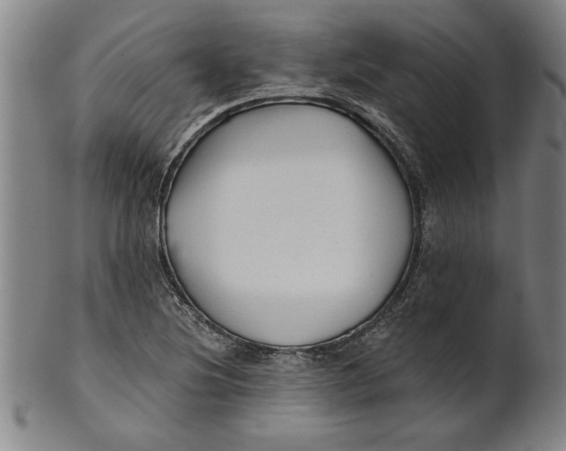 X0000101951220200808081458