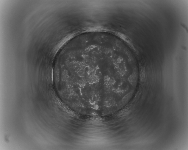 X0000101951221200808081458