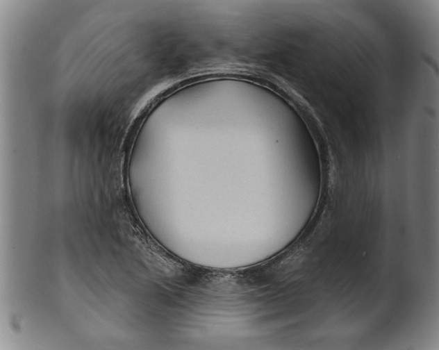 X0000101951222200808081458