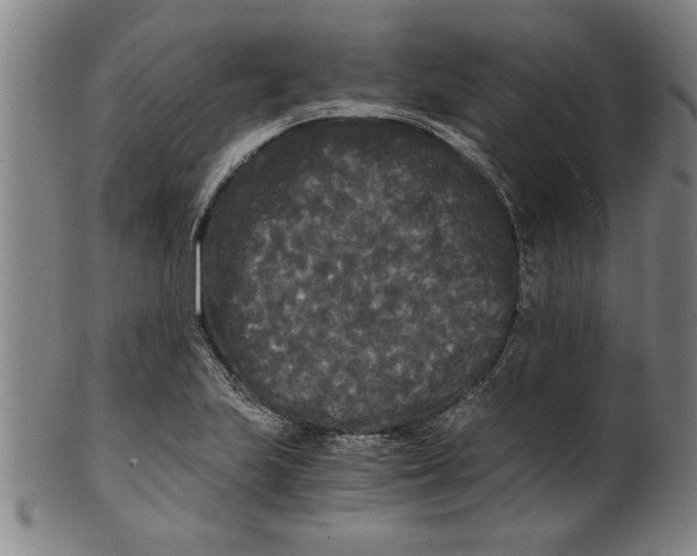 X0000101951223200808081458