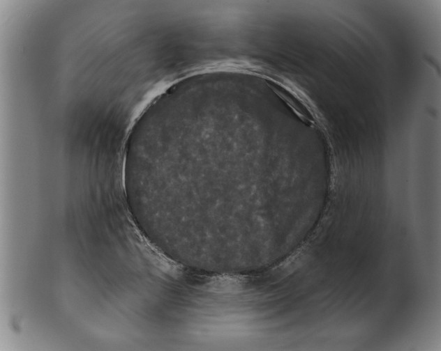 X0000101951224200808081458