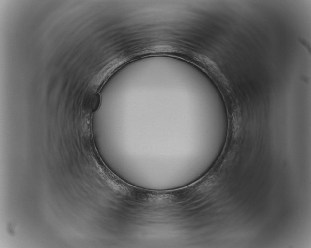 X0000101951225200808081458