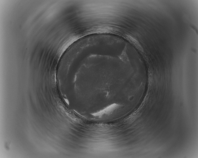 X0000101951226200808081458