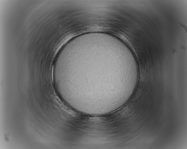 X0000101951227200808081458