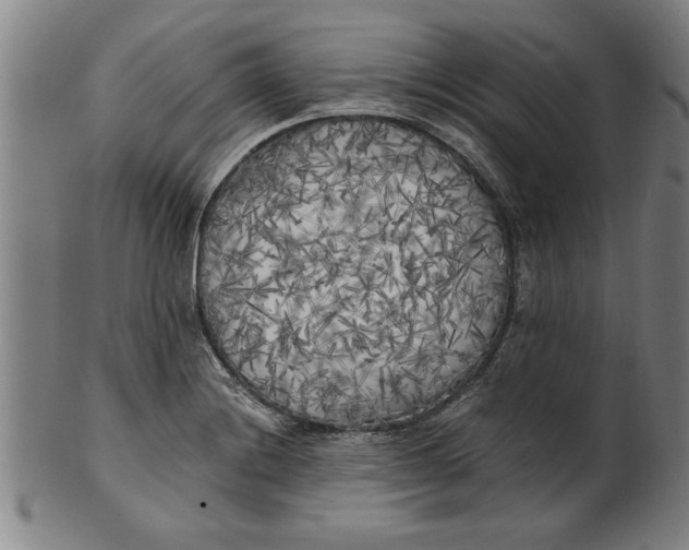 X0000101951228200808081458