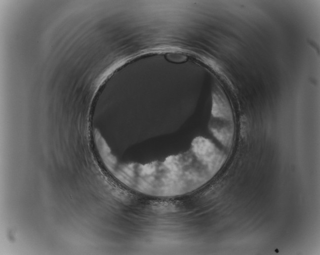 X0000101951229200808081458