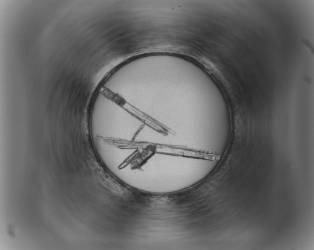 X0000101951230200808081458