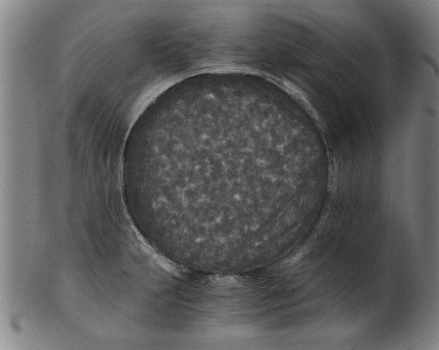 X0000101951231200808081458