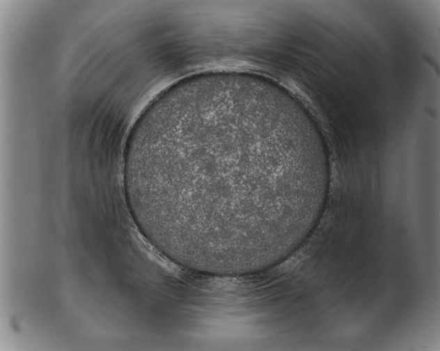 X0000101951232200808081458