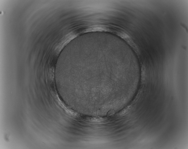 X0000101951233200808081458