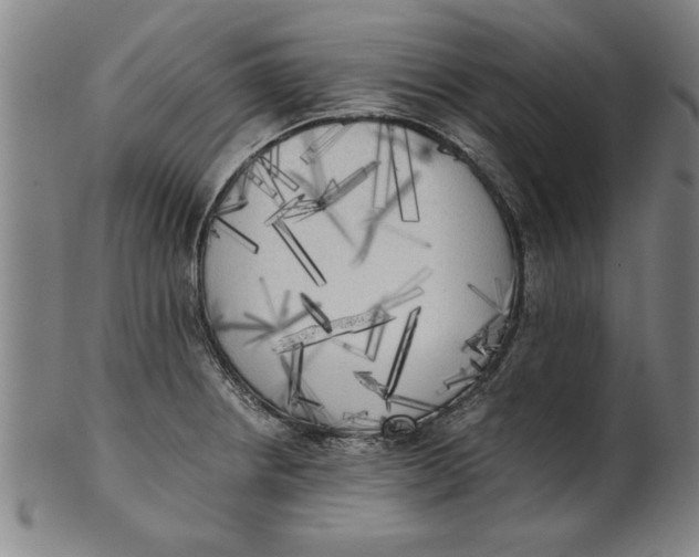 X0000101951234200808081458