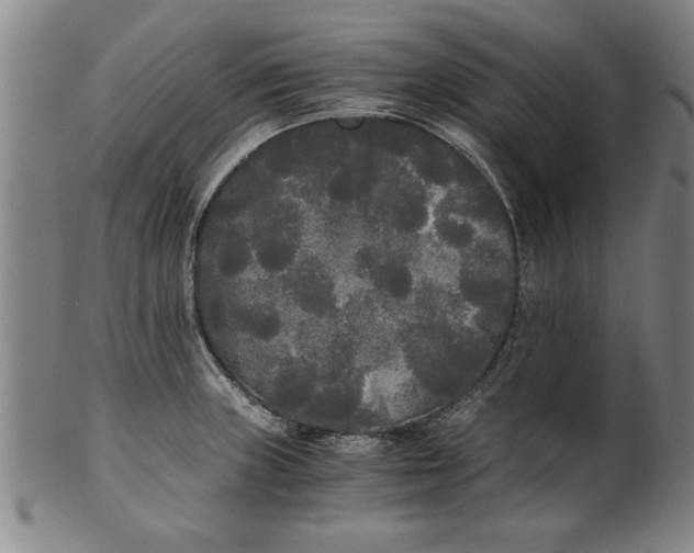 X0000101951235200808081458