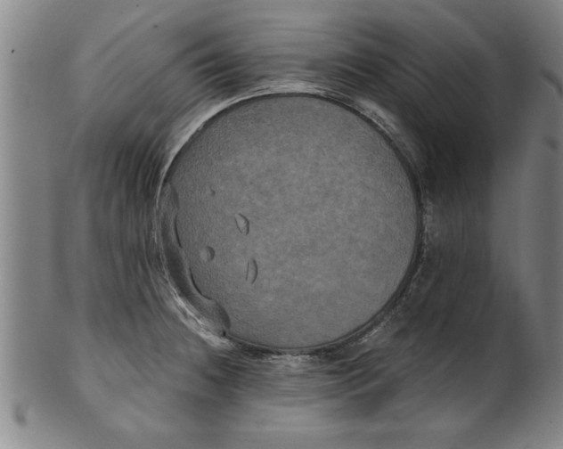 X0000101951236200808081458