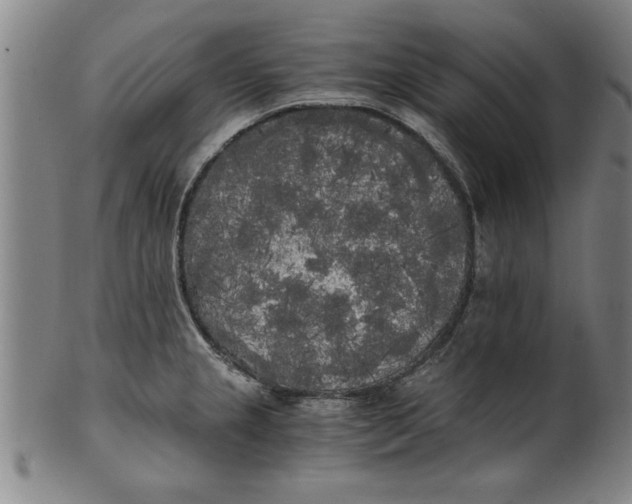 X0000101951237200808081458