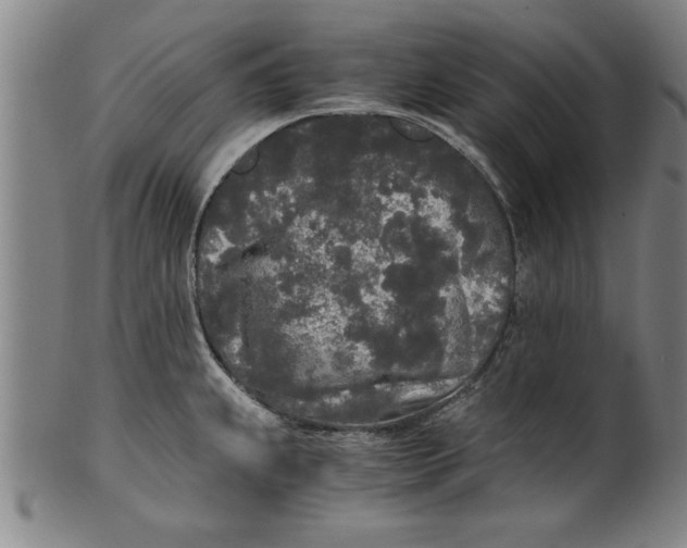 X0000101951239200808081458