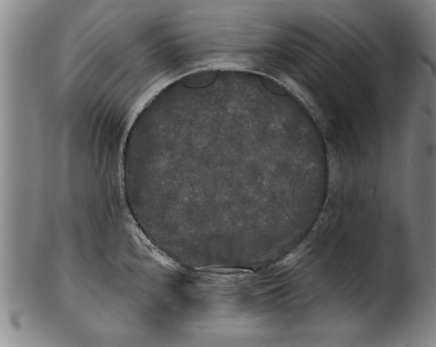 X0000101951240200808081458