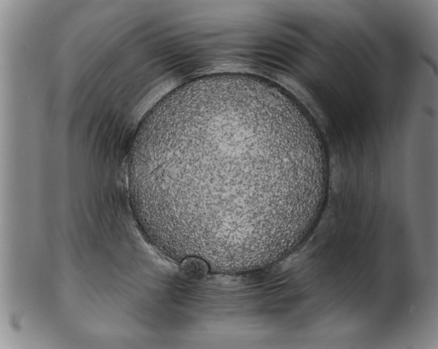 X0000101951241200808081458