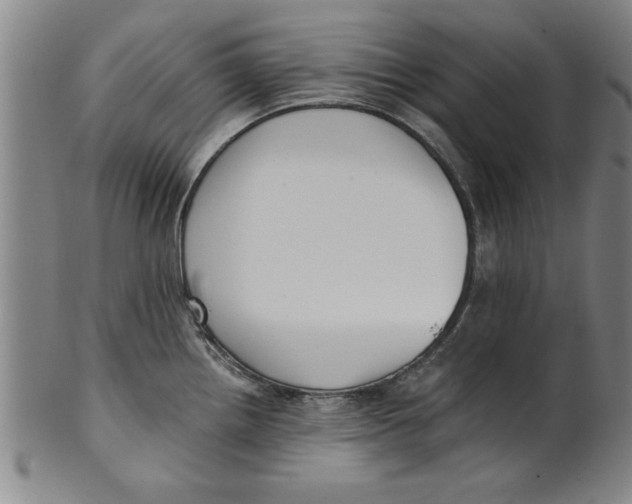 X0000101951242200808081458