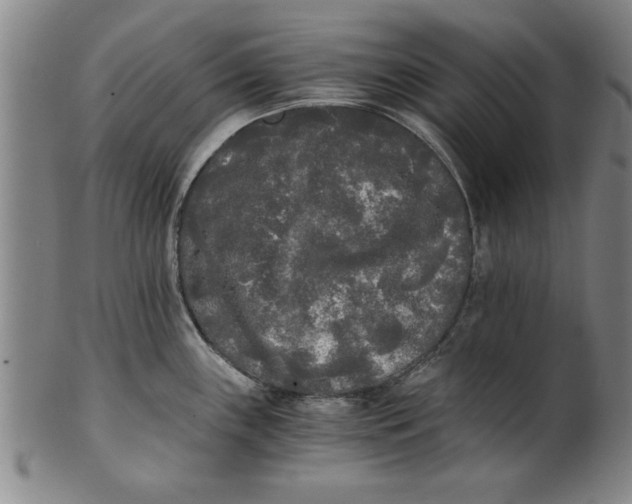 X0000101951243200808081458