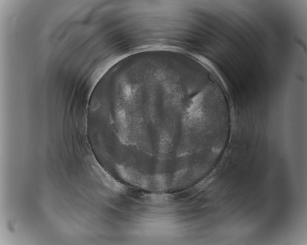 X0000101951244200808081458