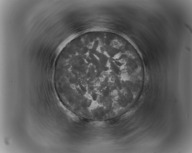 X0000101951245200808081458