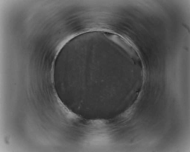 X0000101951246200808081458