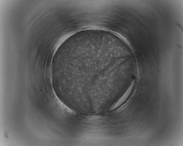X0000101951247200808081459