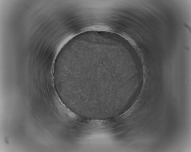X0000101951248200808081459