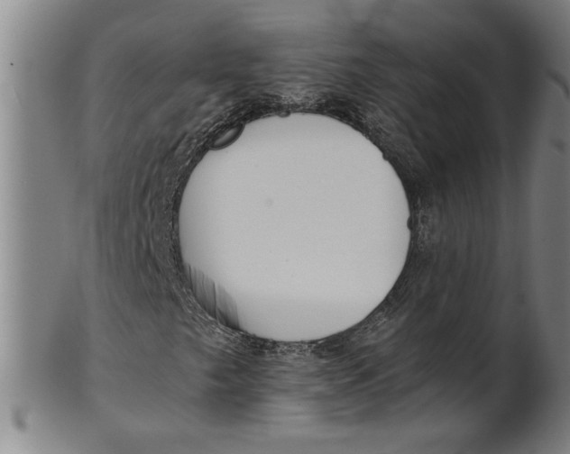X0000101951249200808081458