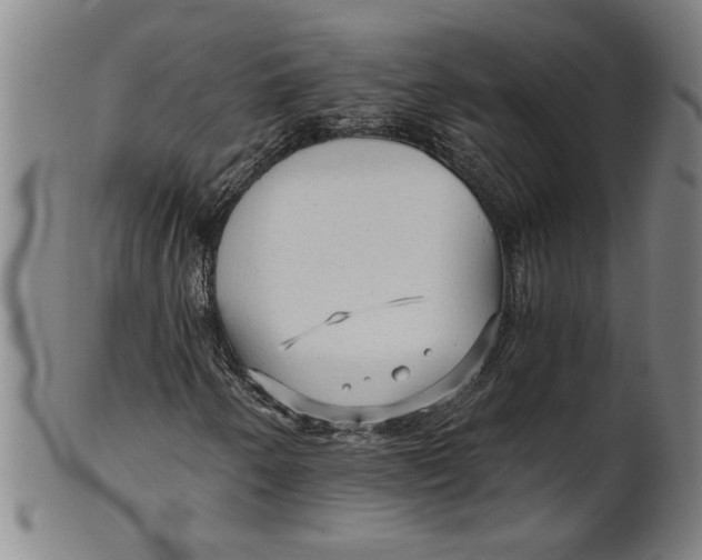 X0000101951250200808081458