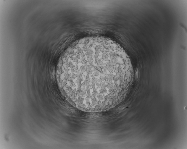 X0000101951251200808081458