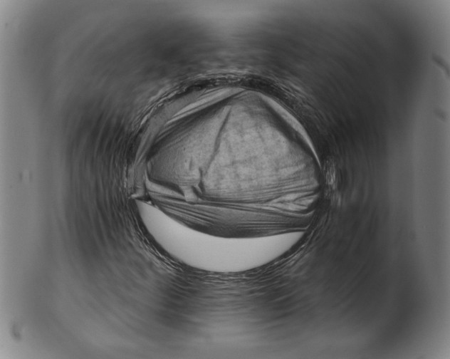X0000101951252200808081458