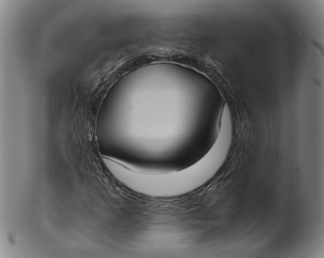 X0000101951253200808081458