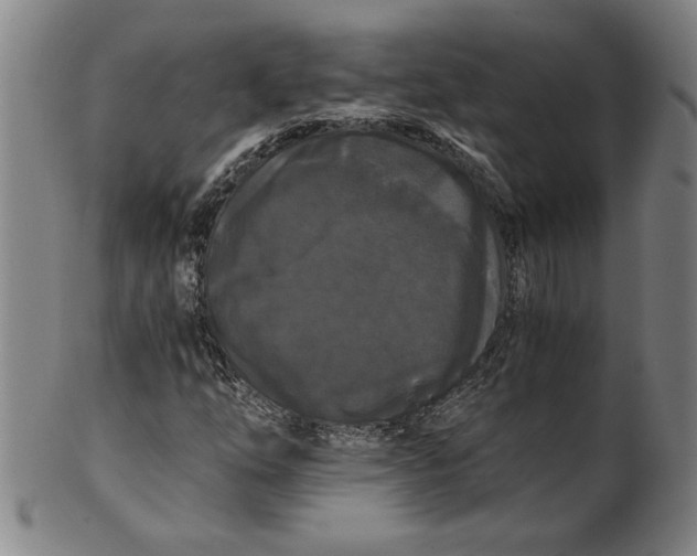 X0000101951254200808081458