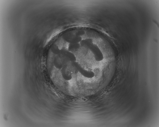 X0000101951255200808081458