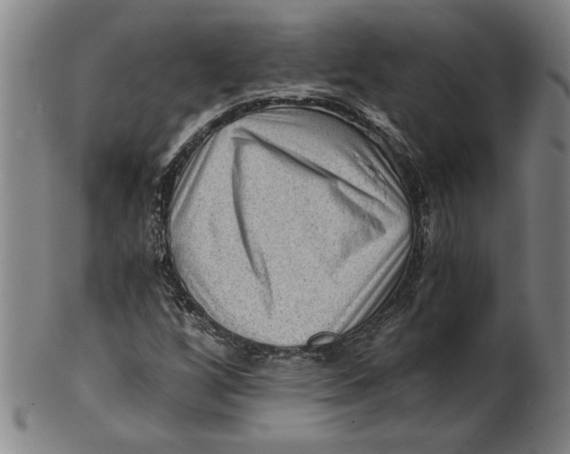 X0000101951256200808081458