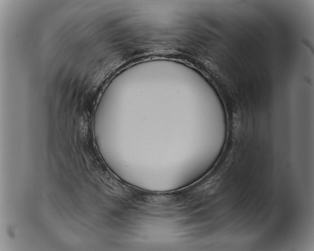 X0000101951257200808081458