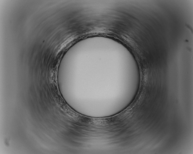 X0000101951258200808081458