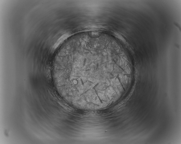 X0000101951259200808081458