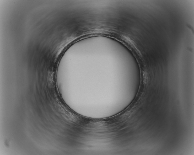 X0000101951260200808081458