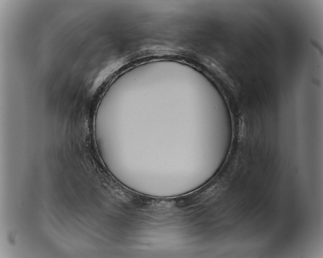 X0000101951261200808081458