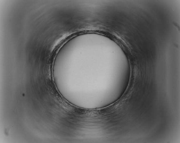 X0000101951262200808081458