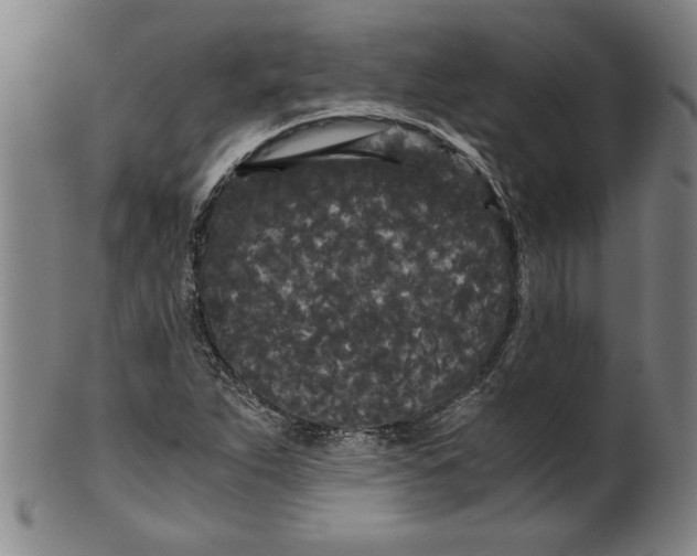 X0000101951263200808081458