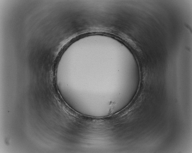 X0000101951264200808081458