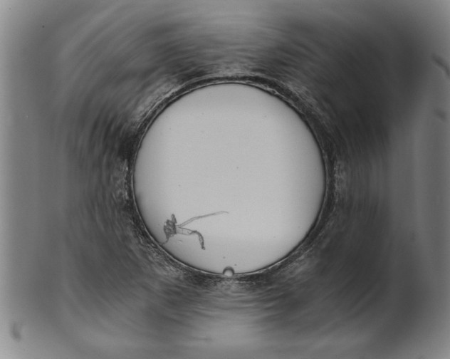 X0000101951265200808081458