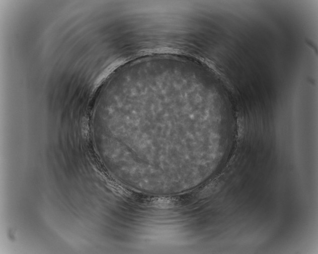X0000101951266200808081458